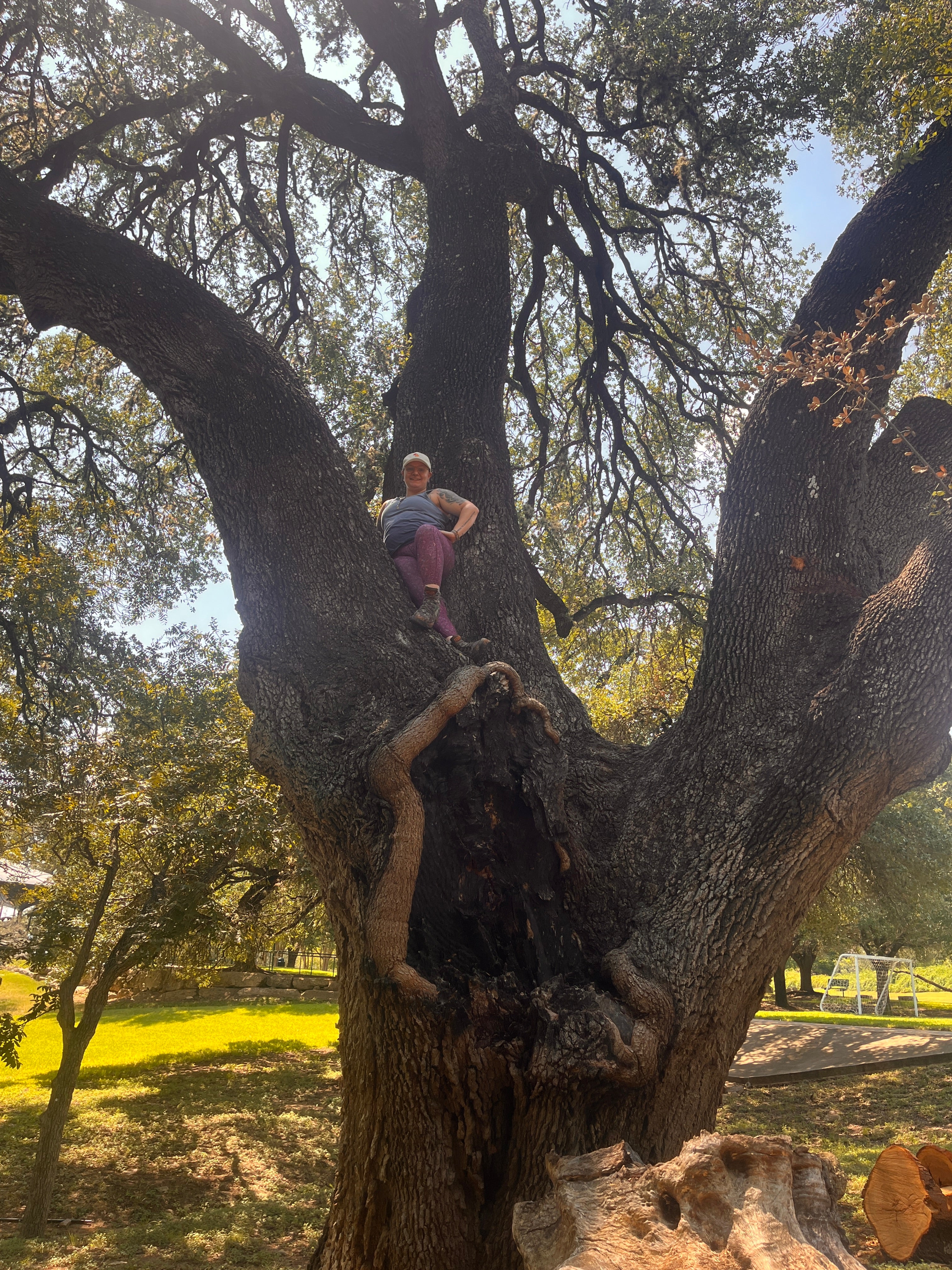 The Sovereign Anchor