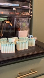 Handmade Cold-pressed Soaps